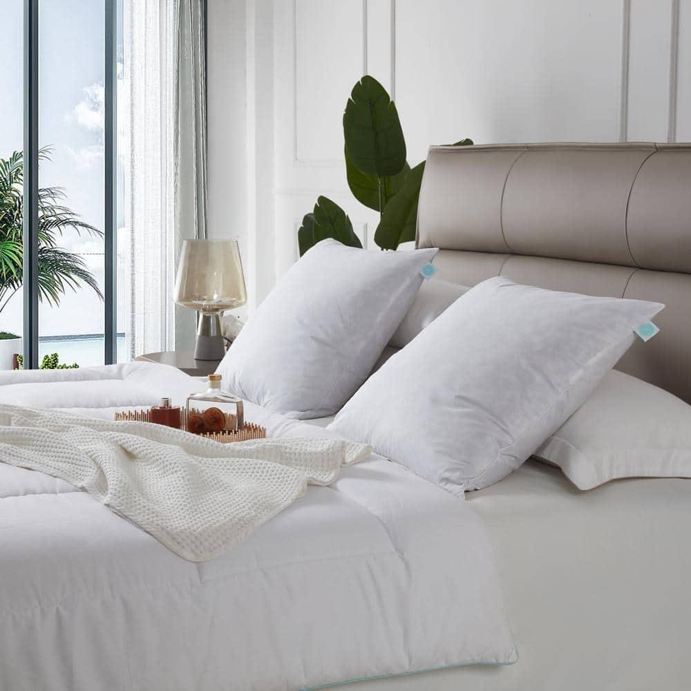 Martha Stewart 20X20'' Decorative Feather Pillow Insert (2PK) - Medium Firm (Set of 2)