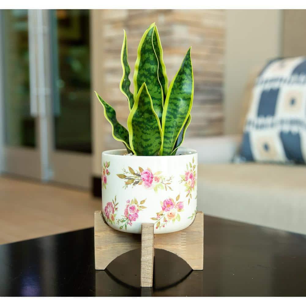 12" Artificial Snake Plant in Floral Print Ceramic Planter on Wood Stand
