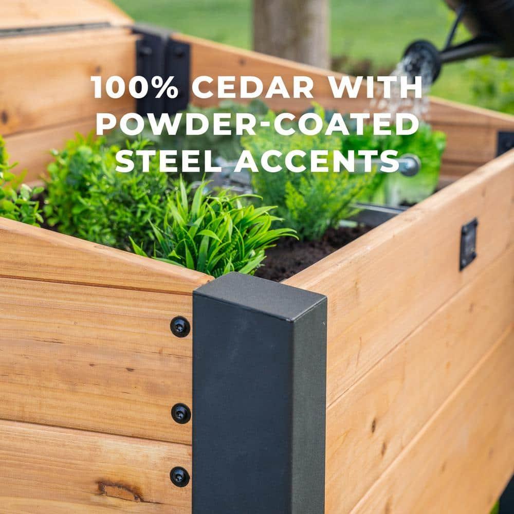 Backyard Discovery Aggie 4x2' Cedar Wood Cold Frame Mini Greenhouse, Polycarbonate Lid