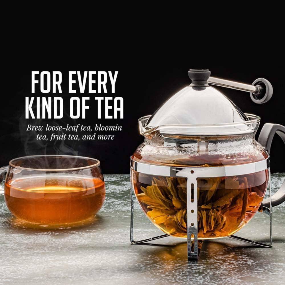 OVENTE Glass Teapot with Removable Stainless-Steel Infuser, Freezer Safe, 17oz. BPA-Free Durable Glass Teapot FGH17T