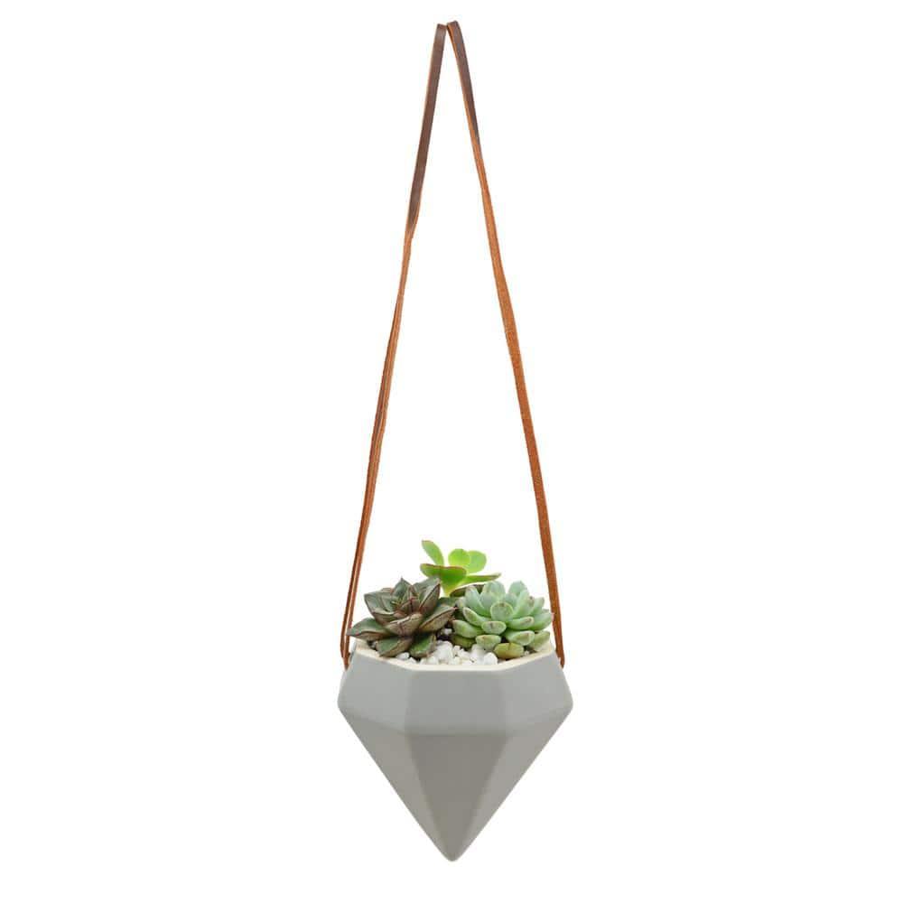 Guilford Ceramic Hanging Planter