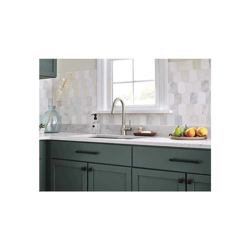 Adler Pull Down Single Handle Kitchen Faucet with Accessories