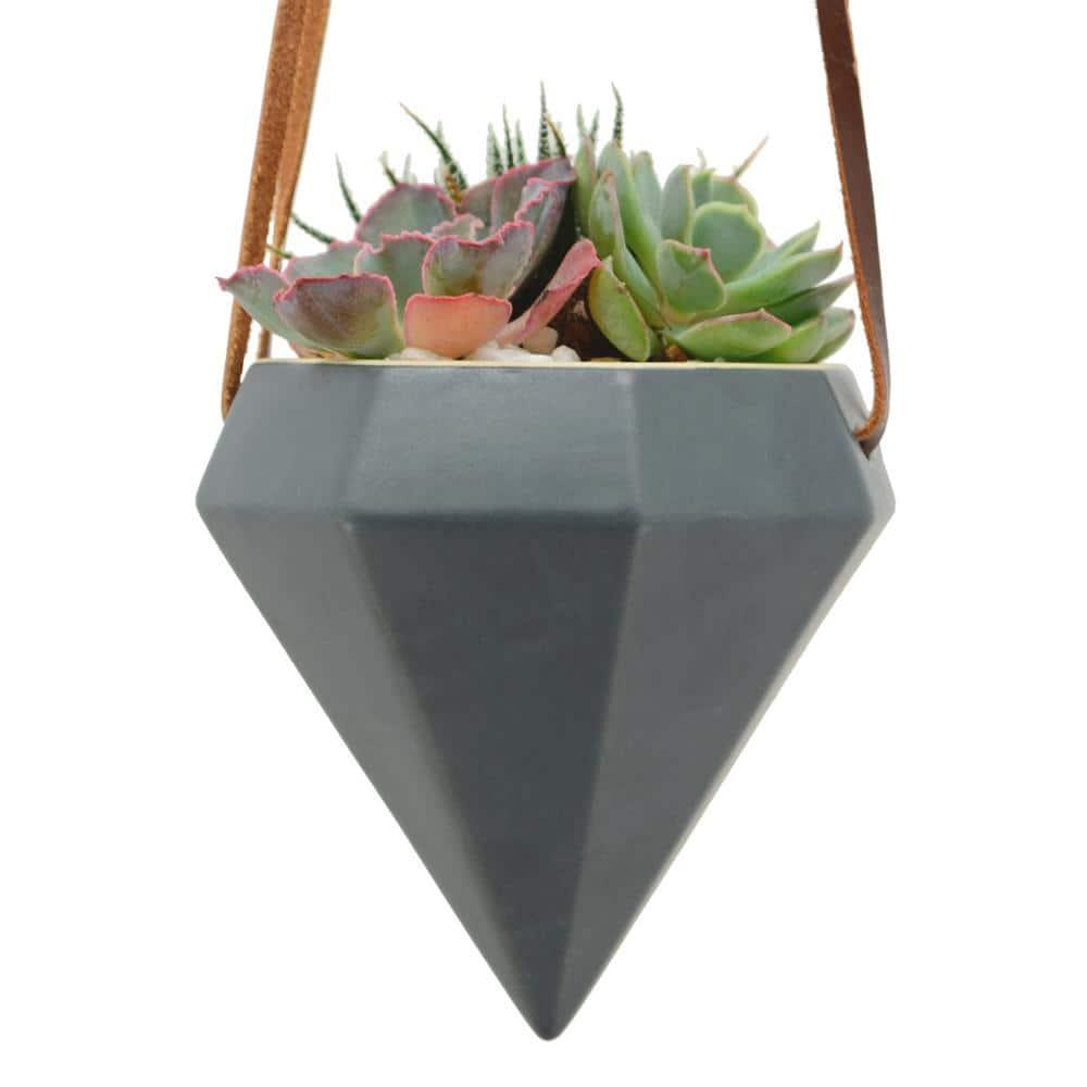 Guilford Ceramic Hanging Planter