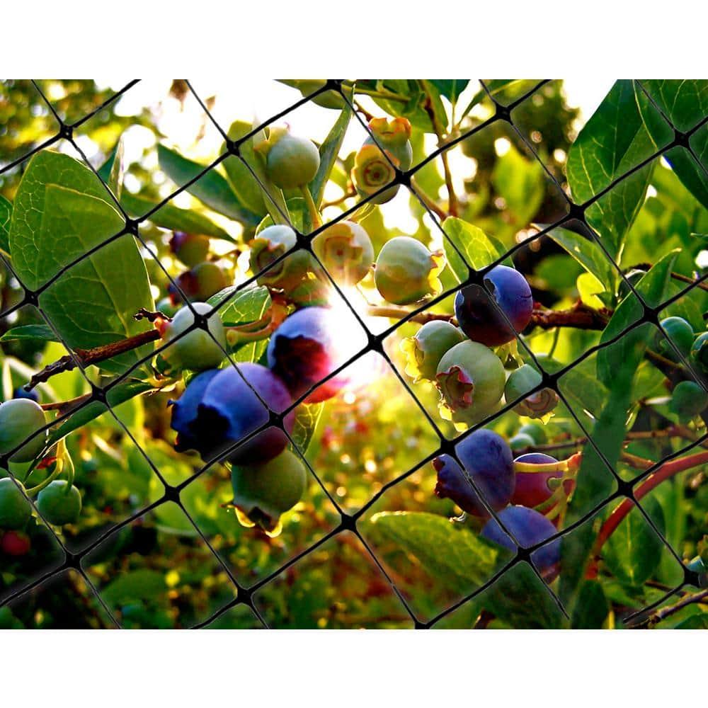Bird-X NET-STD-200-14 Bird Net Standard