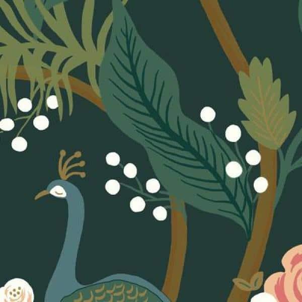 Rifle Paper Co. Peacock 27' x 27" Wallpaper Roll
