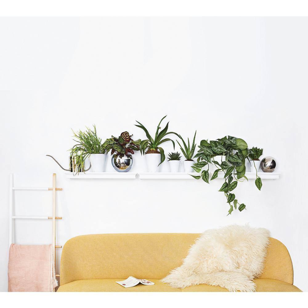 HIGH & MIGHTY Decorative 18" Floating Shelf Holds up to 15lbs, Easy Tool-Free Dry Wall Installation, Beveled, eCommerce Packaging, White
