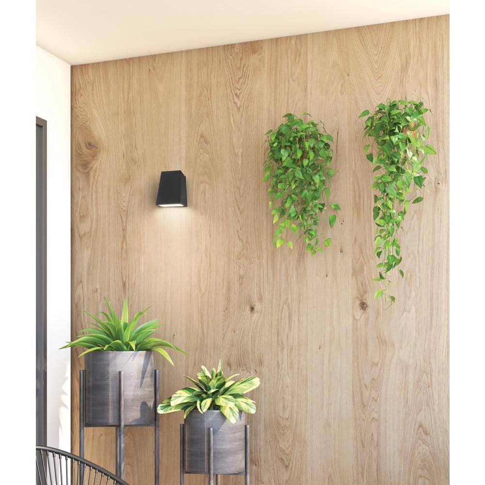 Access Lighting Edge 1 - Light Wall Light in  Black