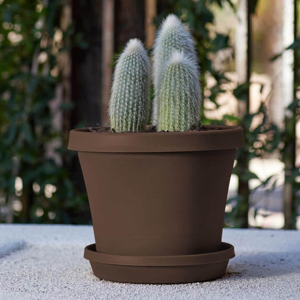 Bloem Terra 13"W x 10.75"H Gardening Pot Planter, Chocolate Brown (Saucer Sold Separately)