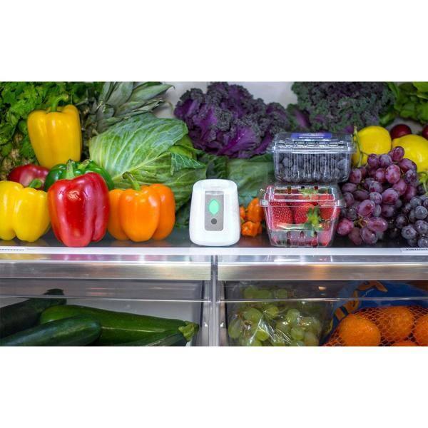 Greentech Environmental pureAir FRIDGE - Refrigerator Odor Eliminator and Air Freshener - Extends Life of Food - Home Essentials For Mini, Small, and Large Fridges