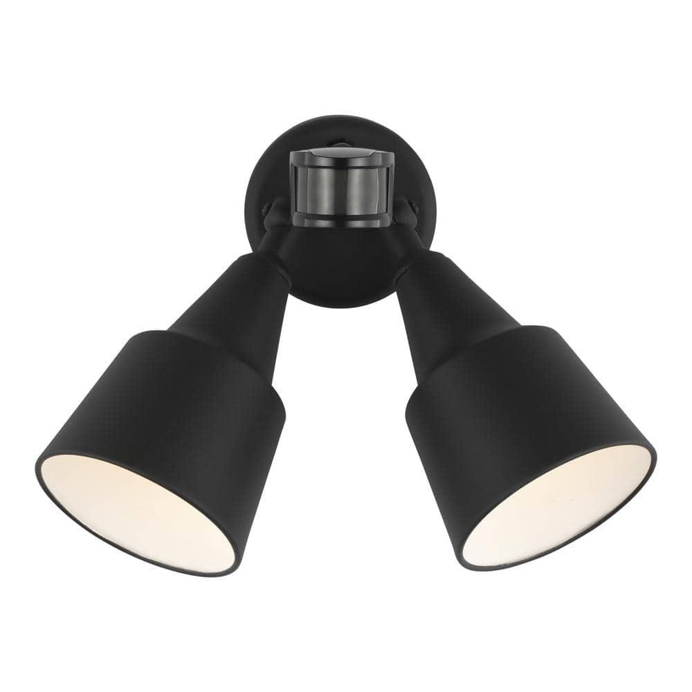 Metal Flood Light