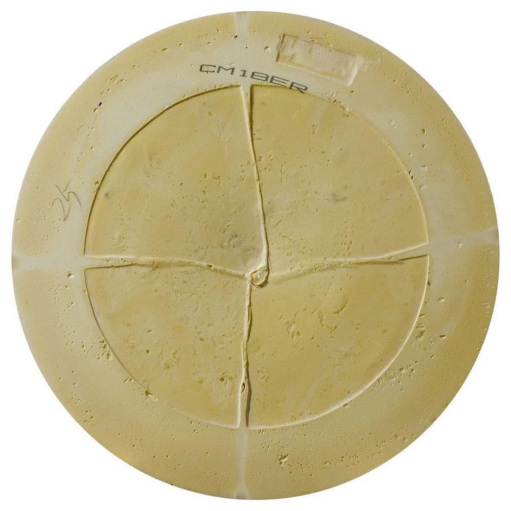 Ekena Millwork Edinburgh 18'' H x 18'' W D Urethane Ceiling Medallion