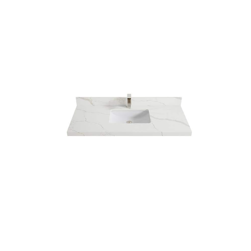 Willow Collections Aberdeen 48'' Single Bathroom Vanity with Top