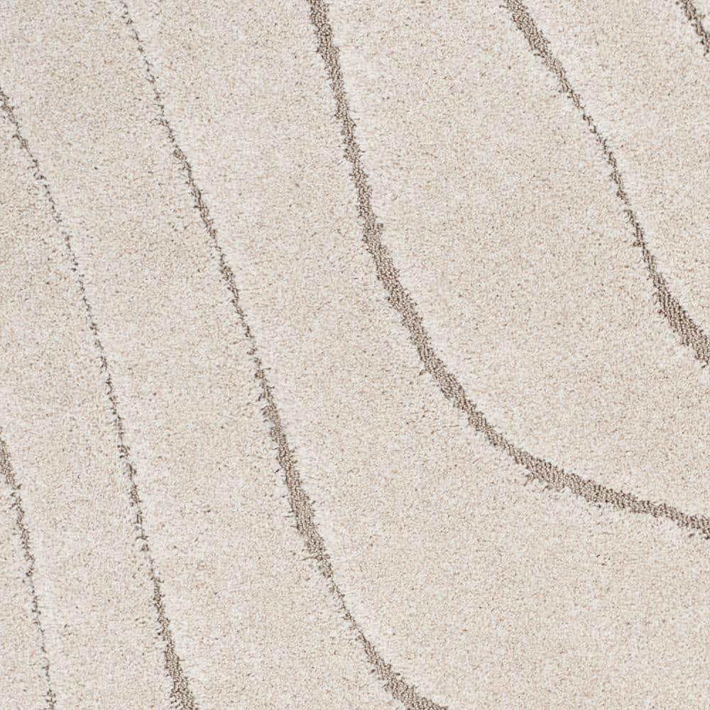 Florida Shag SG472 Power Loomed Indoor Accent Rug - Cream/Beige - 3'3"x5'3" - Safavieh