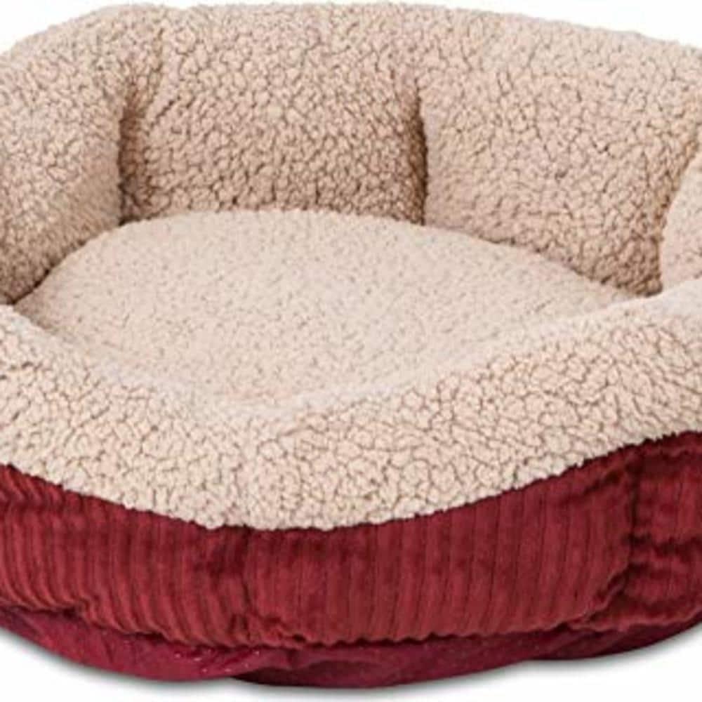 Tucker Murphy Pet™ Cheemeng Twin Platform Bed