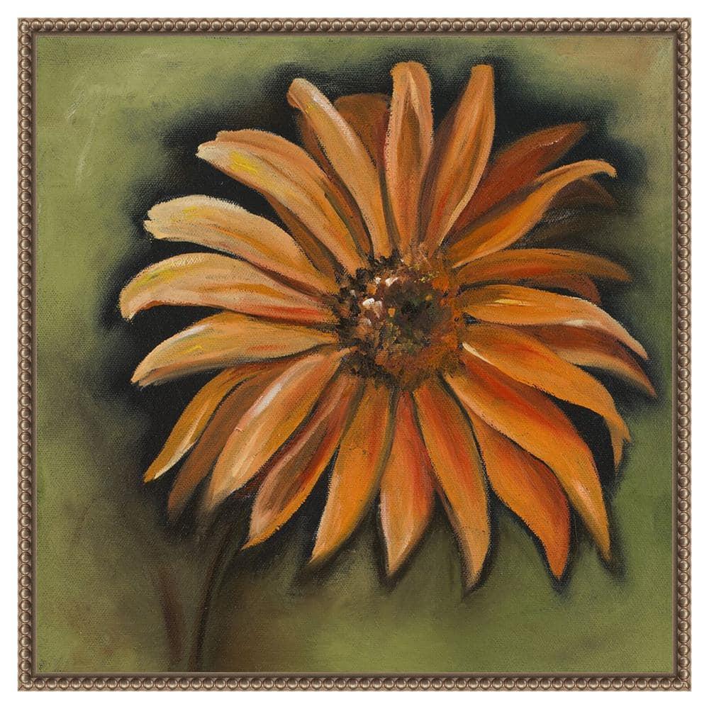 Amanti Art Daisy Collections III by Nelly Arenas Canvas Wall Art Print Framed 22 x 22-in.