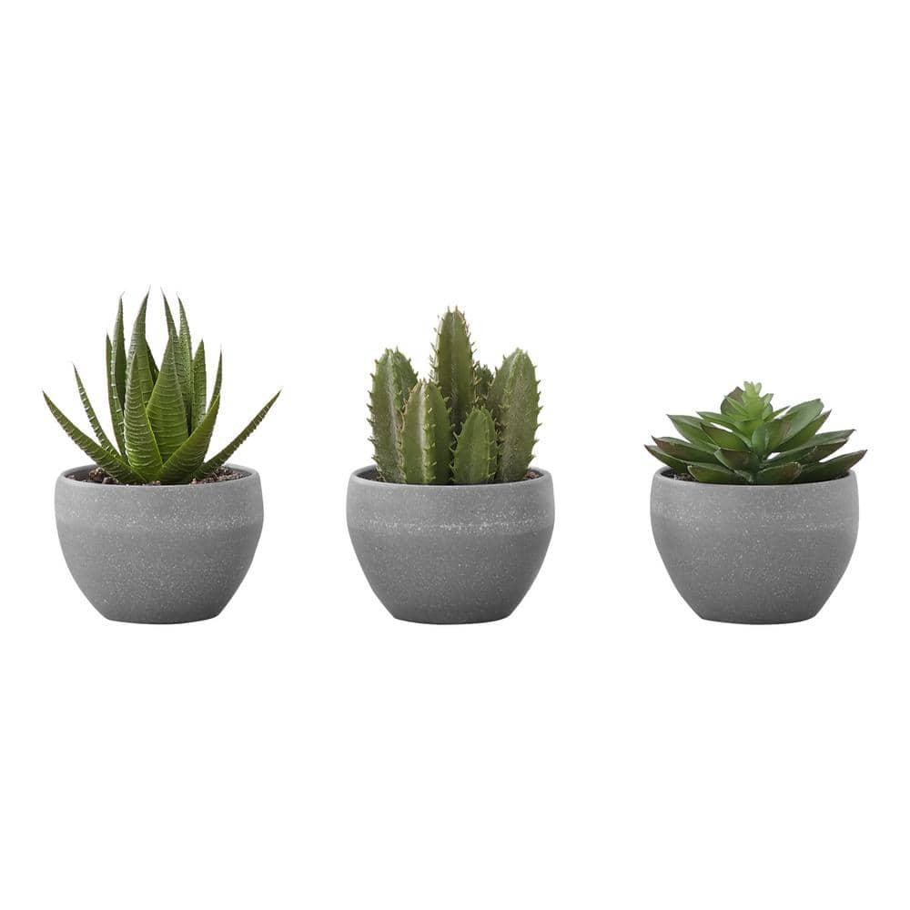 Artificial Succulents Silk Plant Indoor Set of 3, Green, Gray Cement