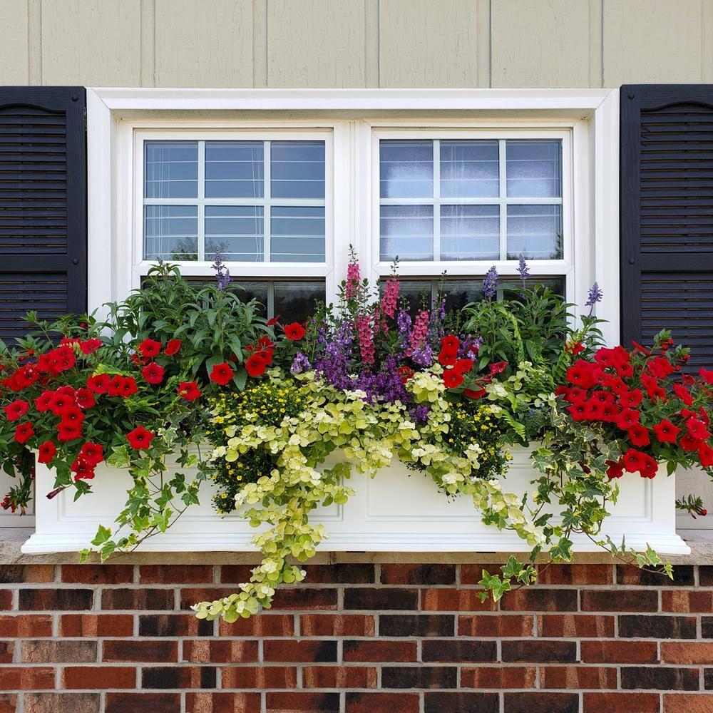 Mayne Inc. Anastasiya Resin Window Box Planter with Water Reservoir