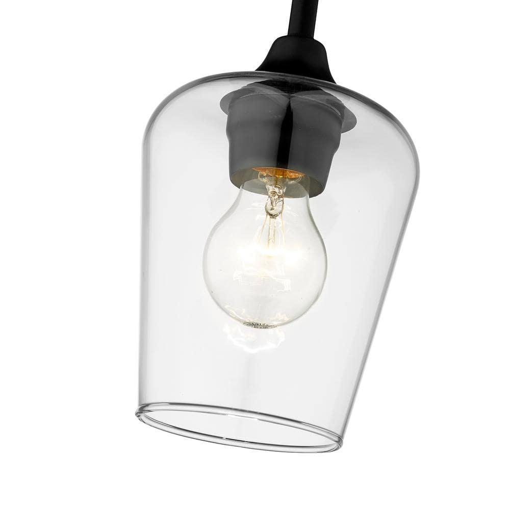 Z-Lite Joliet 1 - Light Pendant in  Matte Black