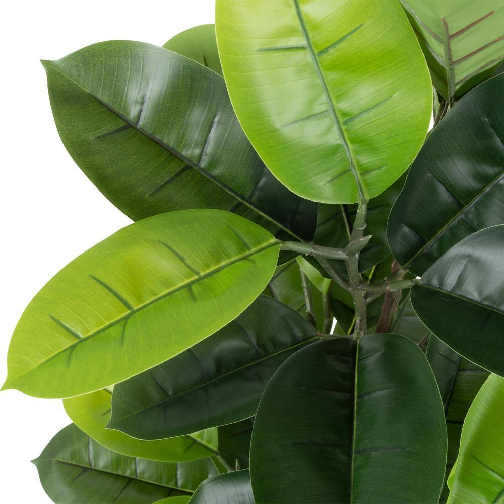 Artificial Rubber Plant - 51-Inch Faux Tree with Natural-Feel Leaves - Realistic Potted Indoor Plant for Office or Home Decor by Pure Garden (Green)
