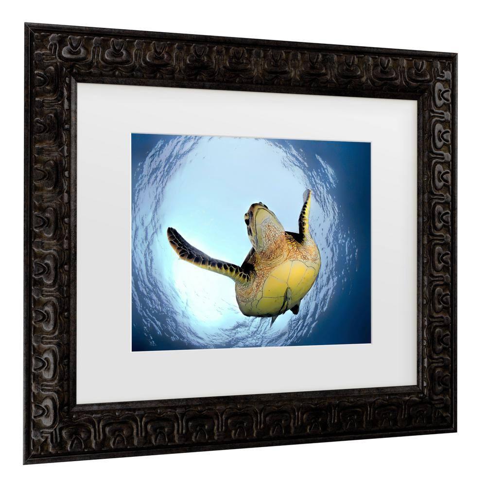 Trademark Fine Art - Henry Jager Green Turtle In Snells Window Matted Framed Art - 11x14
