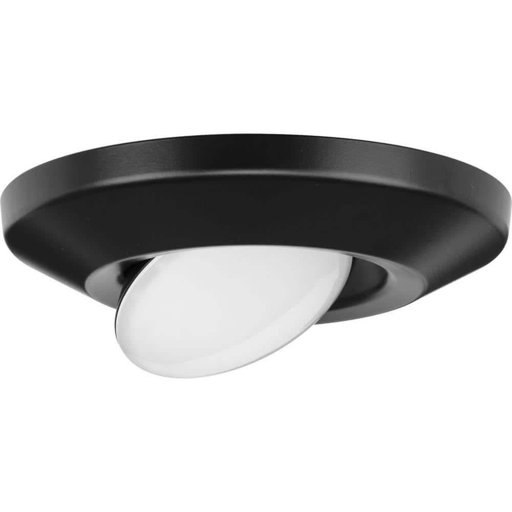 Progress Lighting, Intrinsic Collection, 1-Light, Surface Mount, Black, Eyeball Downlight