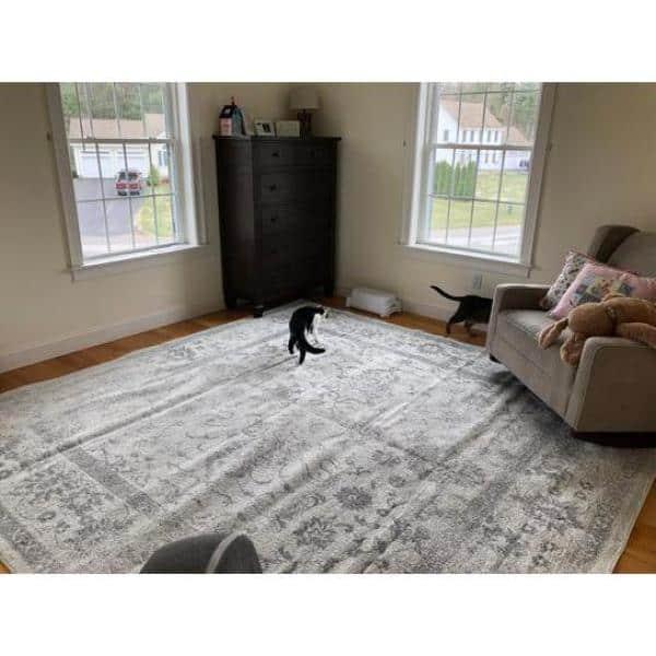 Adirondack ADR109 Machine Made Indoor Area Rug - Ivory/Sage - 8'x10' - Safavieh