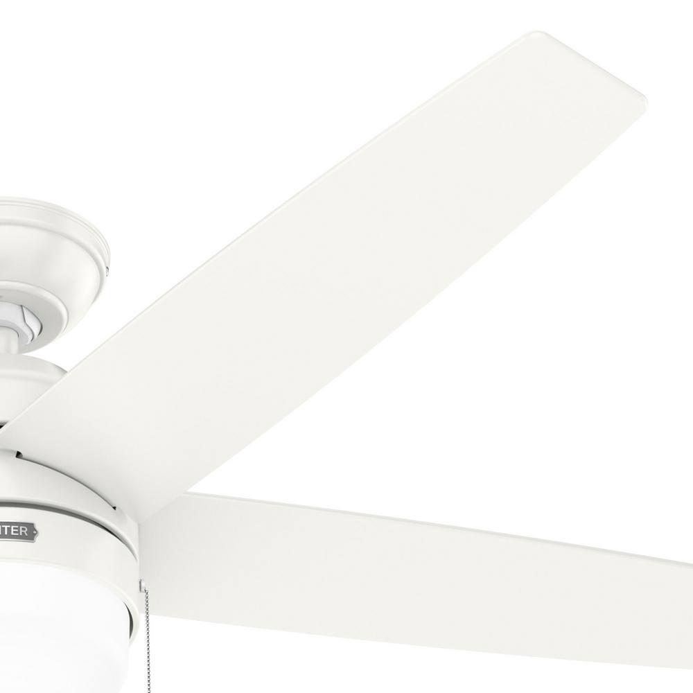 Bardot 52" 5 - Blade Ceiling Fan With Lights and Pull Chains