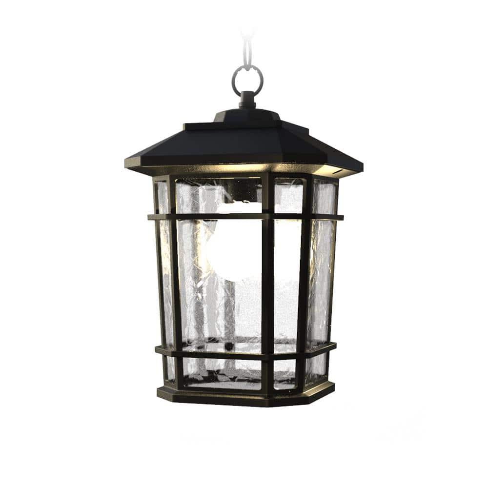 Williams 1- Light Black 14" H Glass Outdoor Hanging Lantern (Bulb Included)