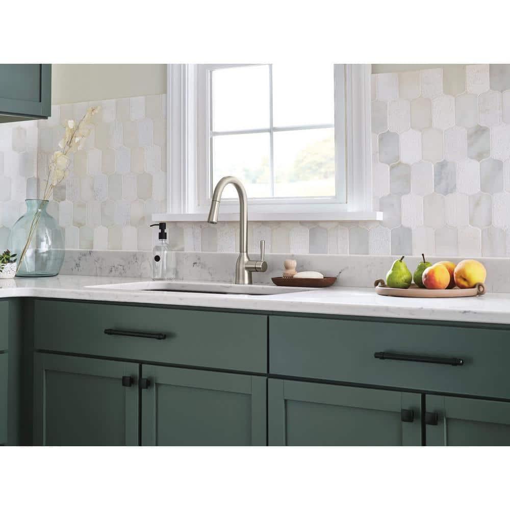 Adler Pull Down Single Handle Kitchen Faucet with Accessories