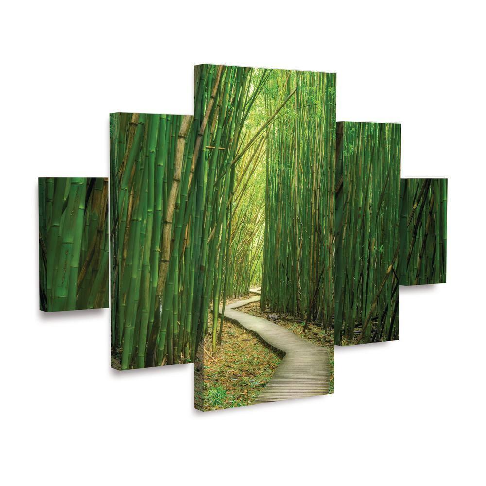 Trademark Fine Art Dennis Frates Bamboo Path 5 Piece Panel Set Art - 34''x44''