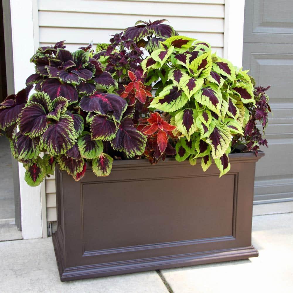 Winston Porter Anastasiya 20"x36" Resin Planter with Water Reservoir