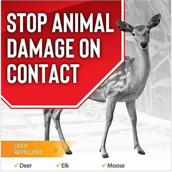Deer Stopper II Animal Repellent, 32oz Ready-to-Spray Hose End