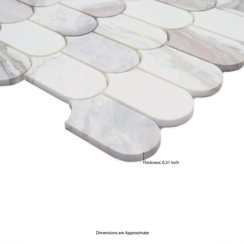 Edessa Scallop 12" x 13" Polished Marble Mosaic Floor and Wall Tile