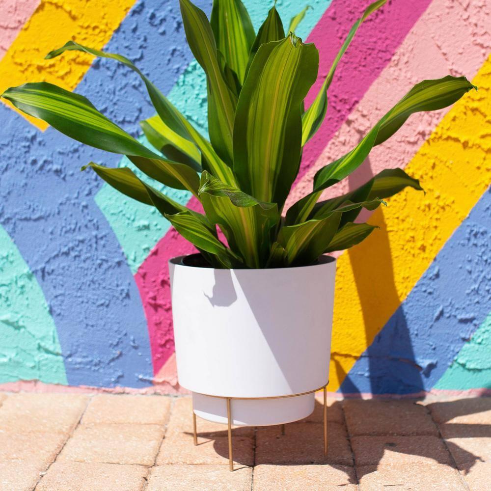 Bloem Hopson 12 in. H X 10 in. D Metal/Plastic Planter with Stand Casper White