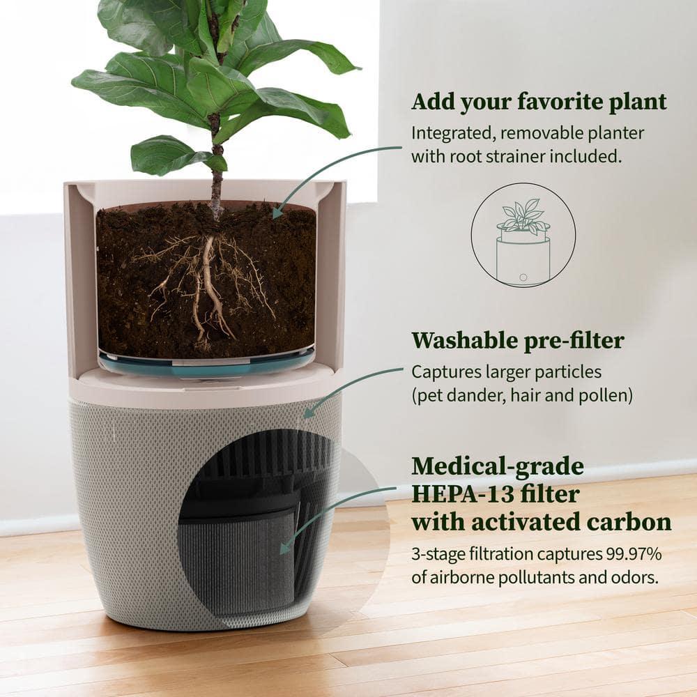 Dupray Dupray Personal Air Purifier with True HEPA Filter for 1517 Cubic Feet