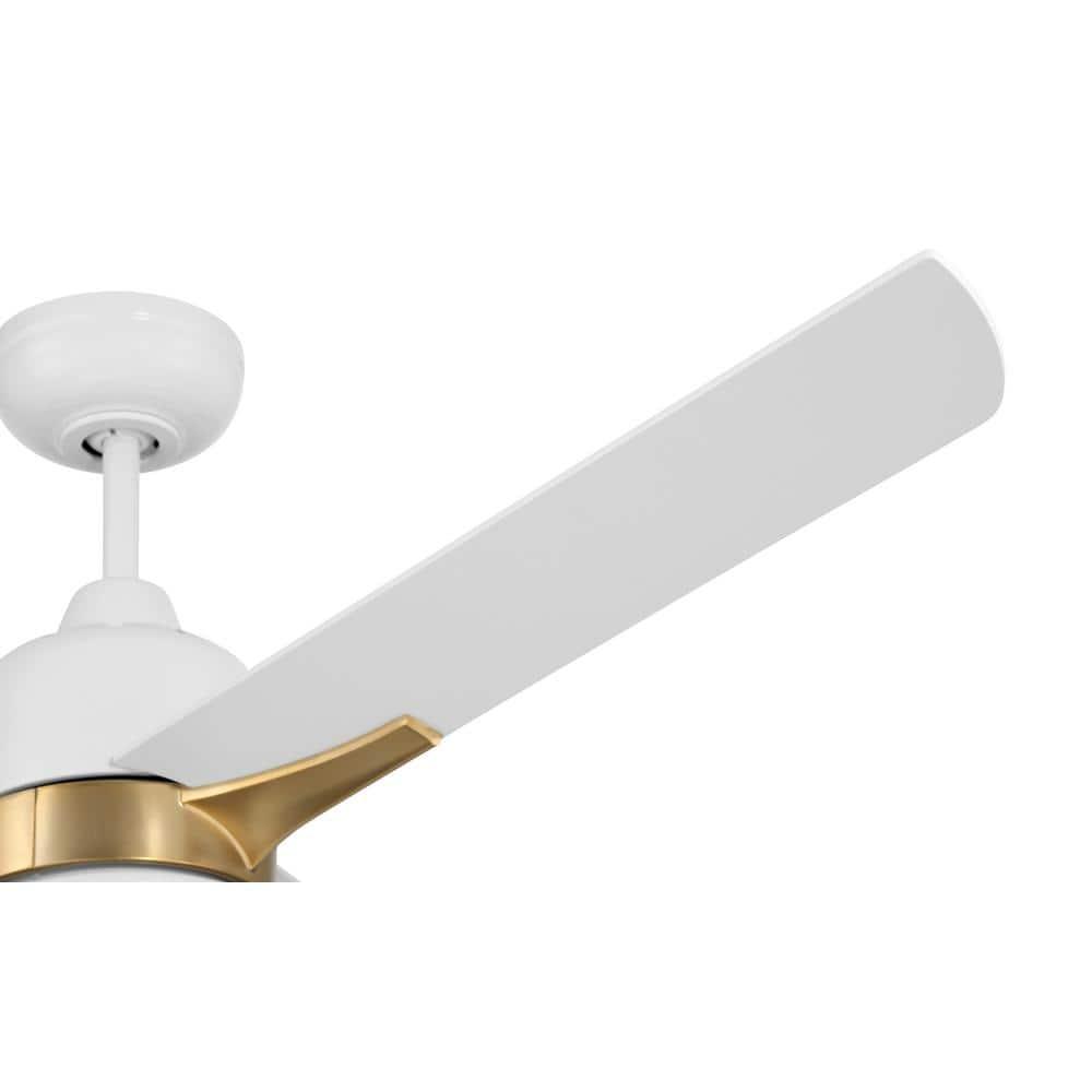 Latitude Run® Eiladh 52" Ceiling Fan with LED Lights & Wall Control