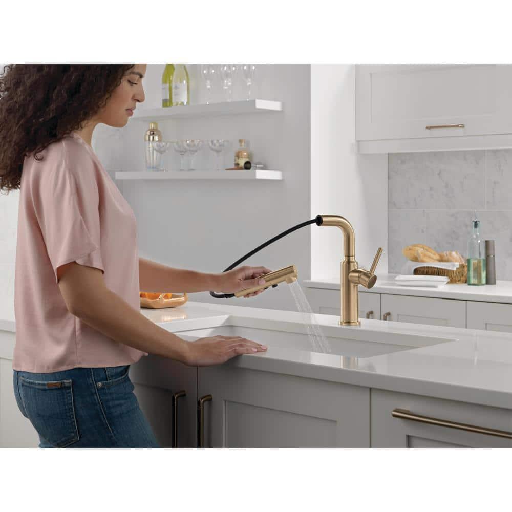 Daneri Pull-Out Sprayer Kitchen Faucet, Single Handle Kitchen Sink Faucet