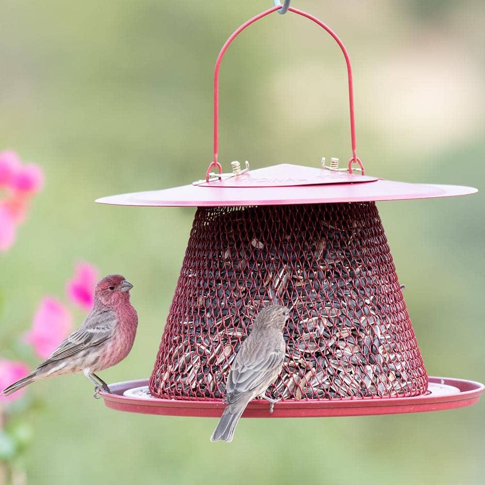 Perky-Pet Red Cardinal Wild Bird Feeder - 2.5 lb Capacity