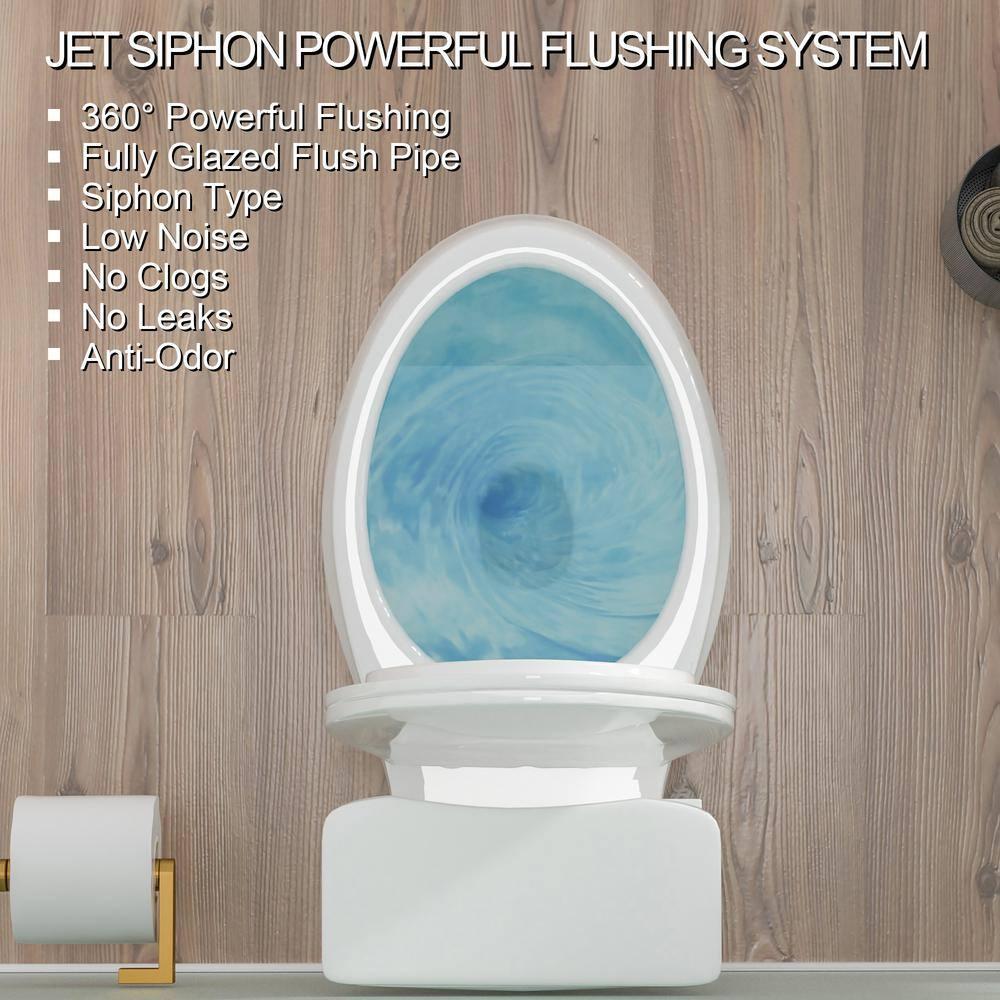 19 in. 2-Piece Toilet 1.1/1.6 GPF Dual Flush Round White Toilet ADA Height with Soft-Close Seat