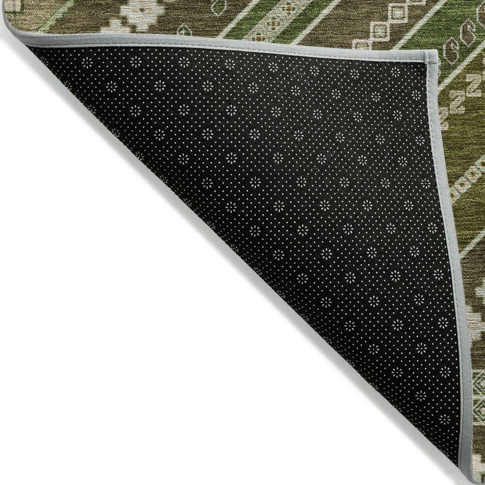 Machine Washable Indoor/Outdoor Chayden ACN1010 Rug