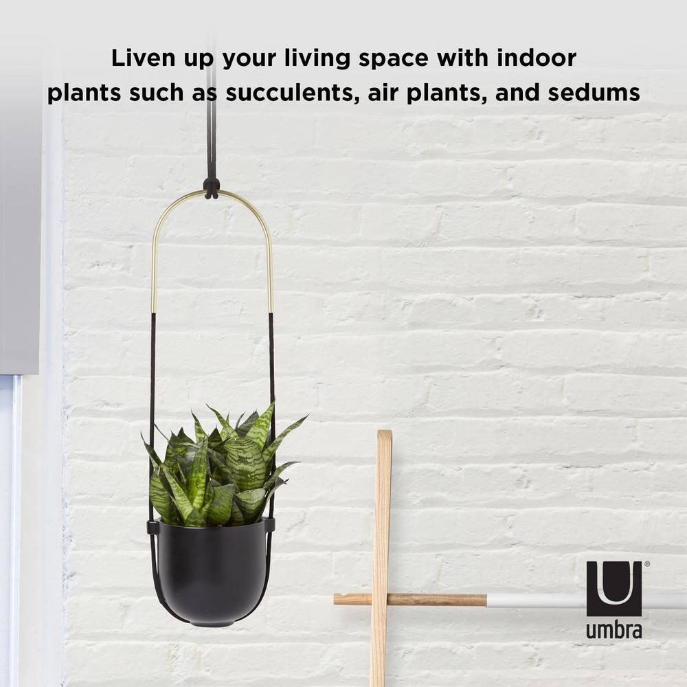 Juno Hanging Planter Pot