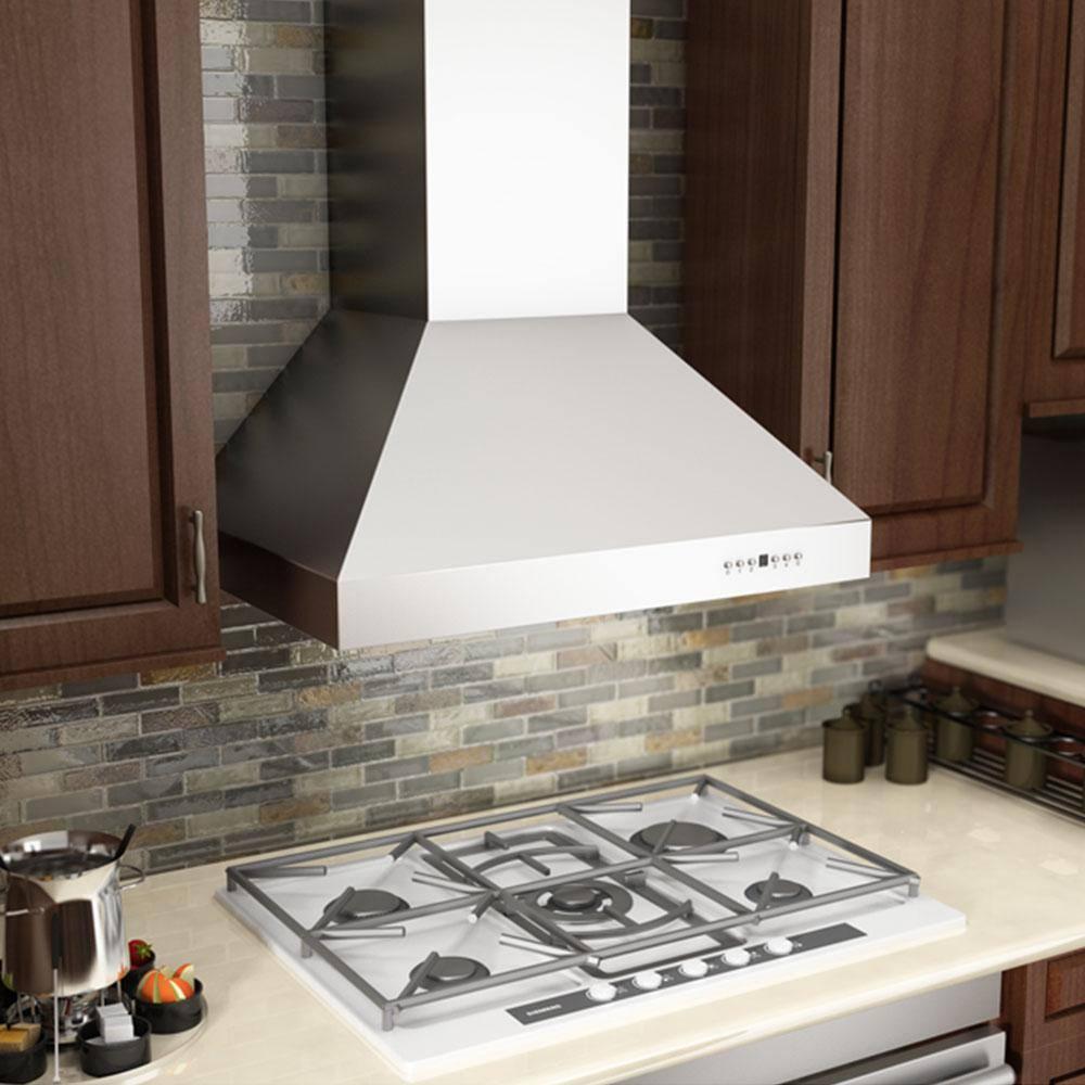 ZLINE ZLINE 48 in. Professional Ducted Wall Mount Range Hood in Stainless Steel (667-48)