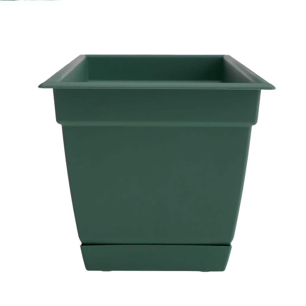 Bloem Dayton 6.87 in. H X 24 in. W Plastic Ocean Series Window Box Turtle Green