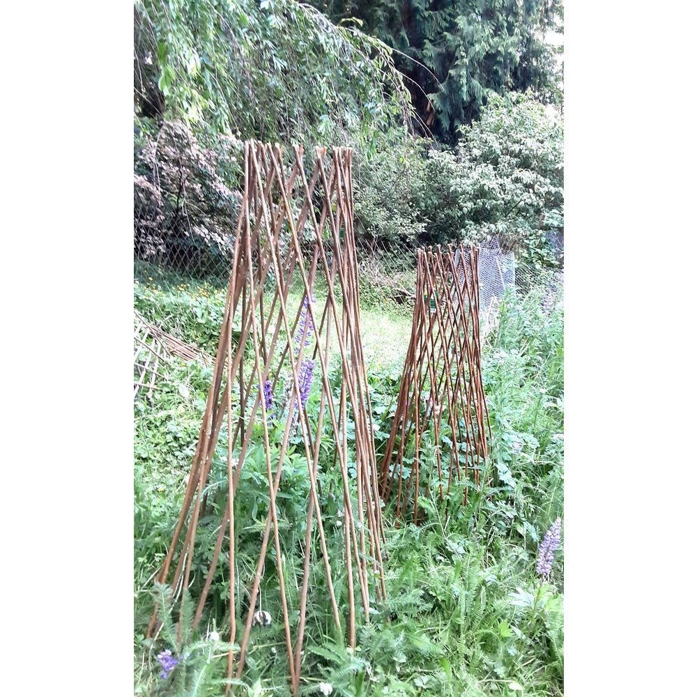 MGP 72'' H x 20'' W Wood Obelisk Trellis
