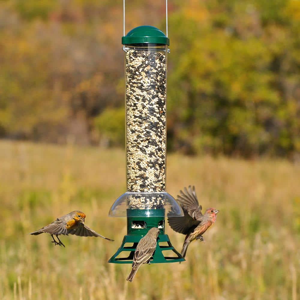 Woodstream Metal Hanging Tube Bird Feeder