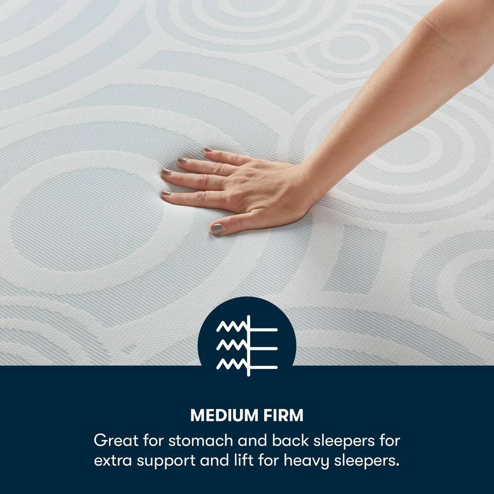 Serta Serta Perfect Sleeper Nestled Night Medium Firm 10" Memory Foam Mattress