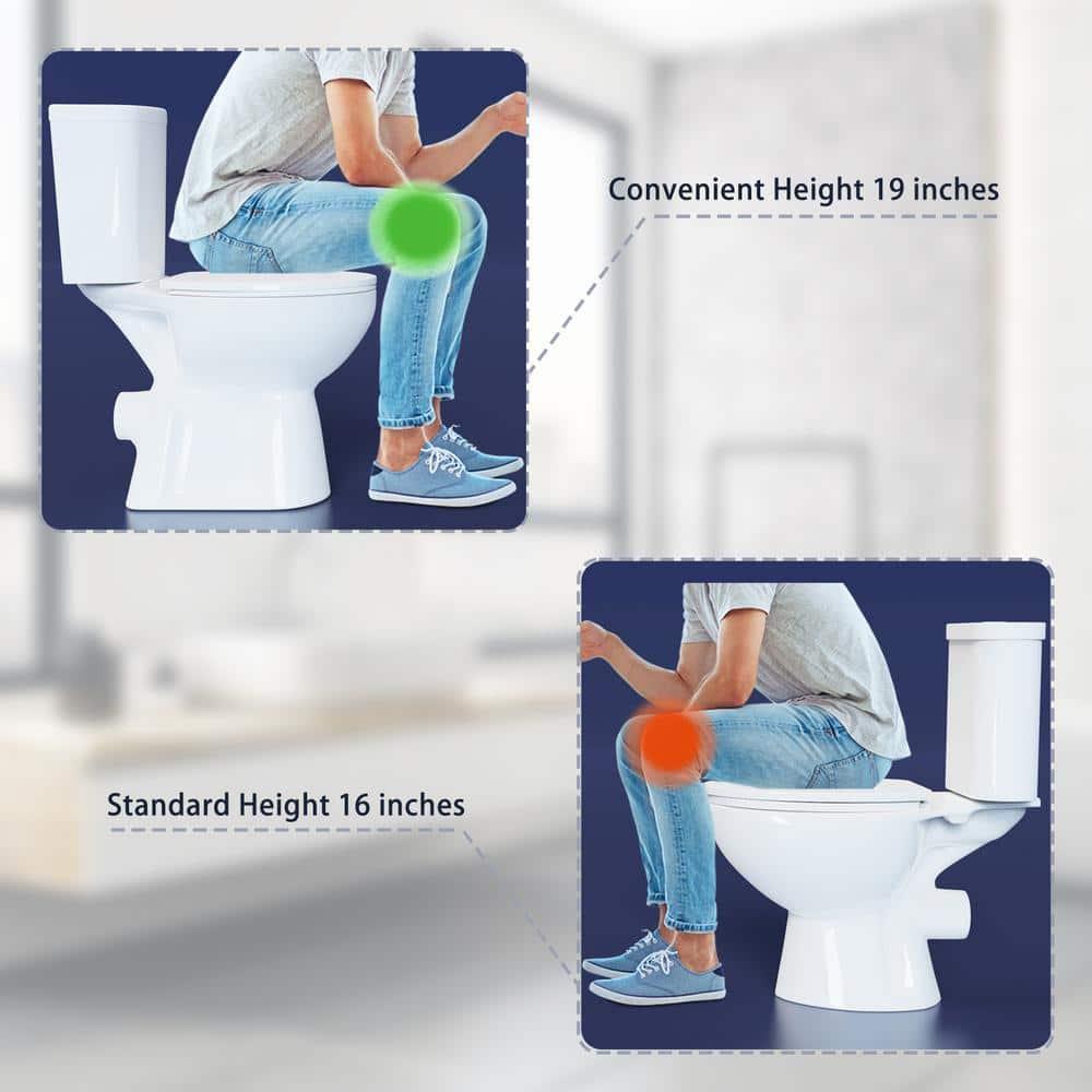 19 in. Tall Toilet 2-Piece 1.0/1.6 GPF Rear-Outlet Dual Flush Round Toilet in White,