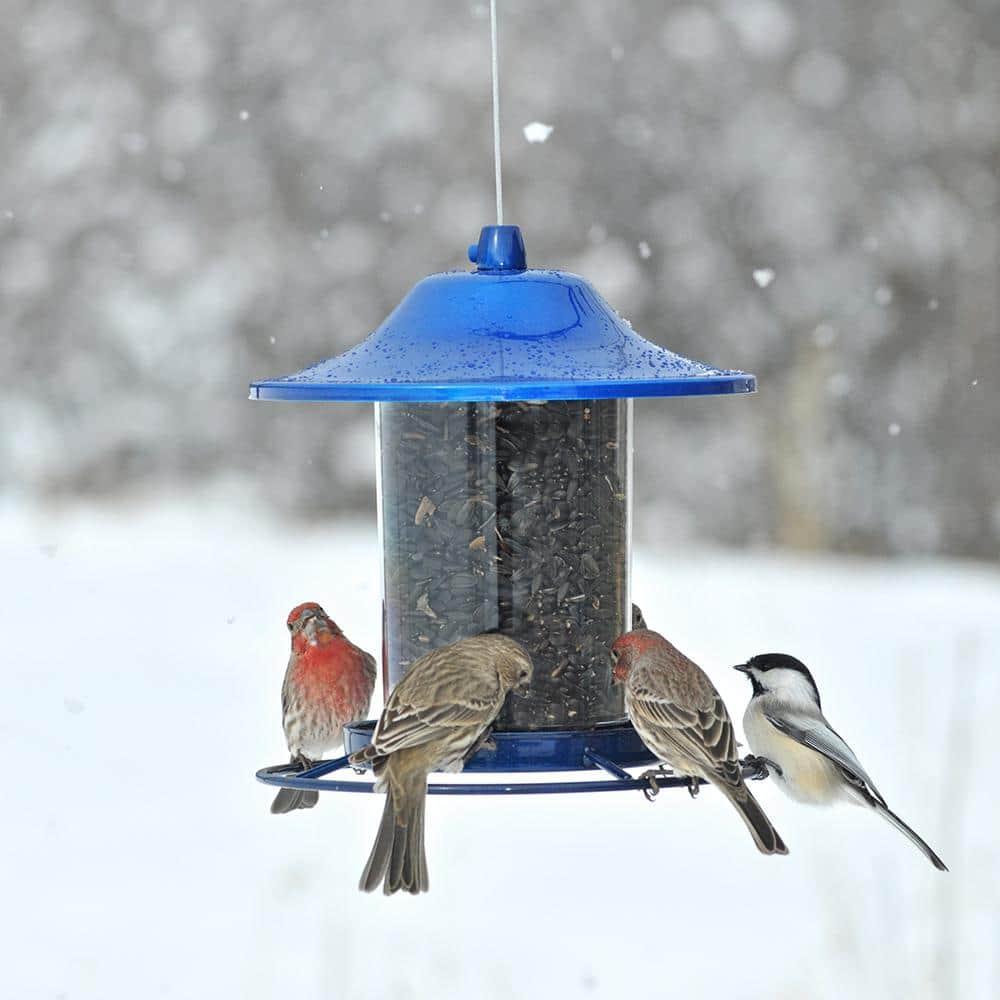 Perky-Pet Wild Bird 2 lb Metal/Plastic Panorama Bird Feeder 1 ports (Case of 2)