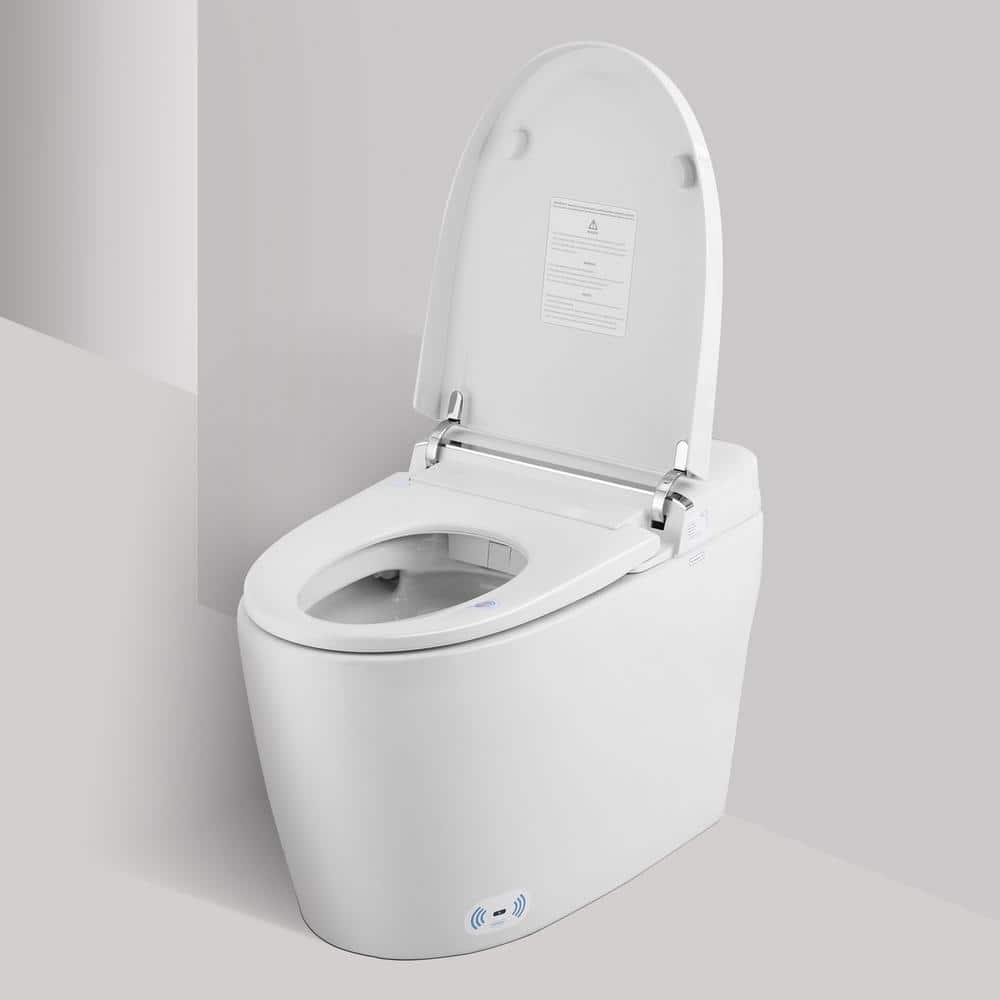 VIBRANTBATH 1.1 Gallons GPF Elongated Bidet Toilet (Seat Included)