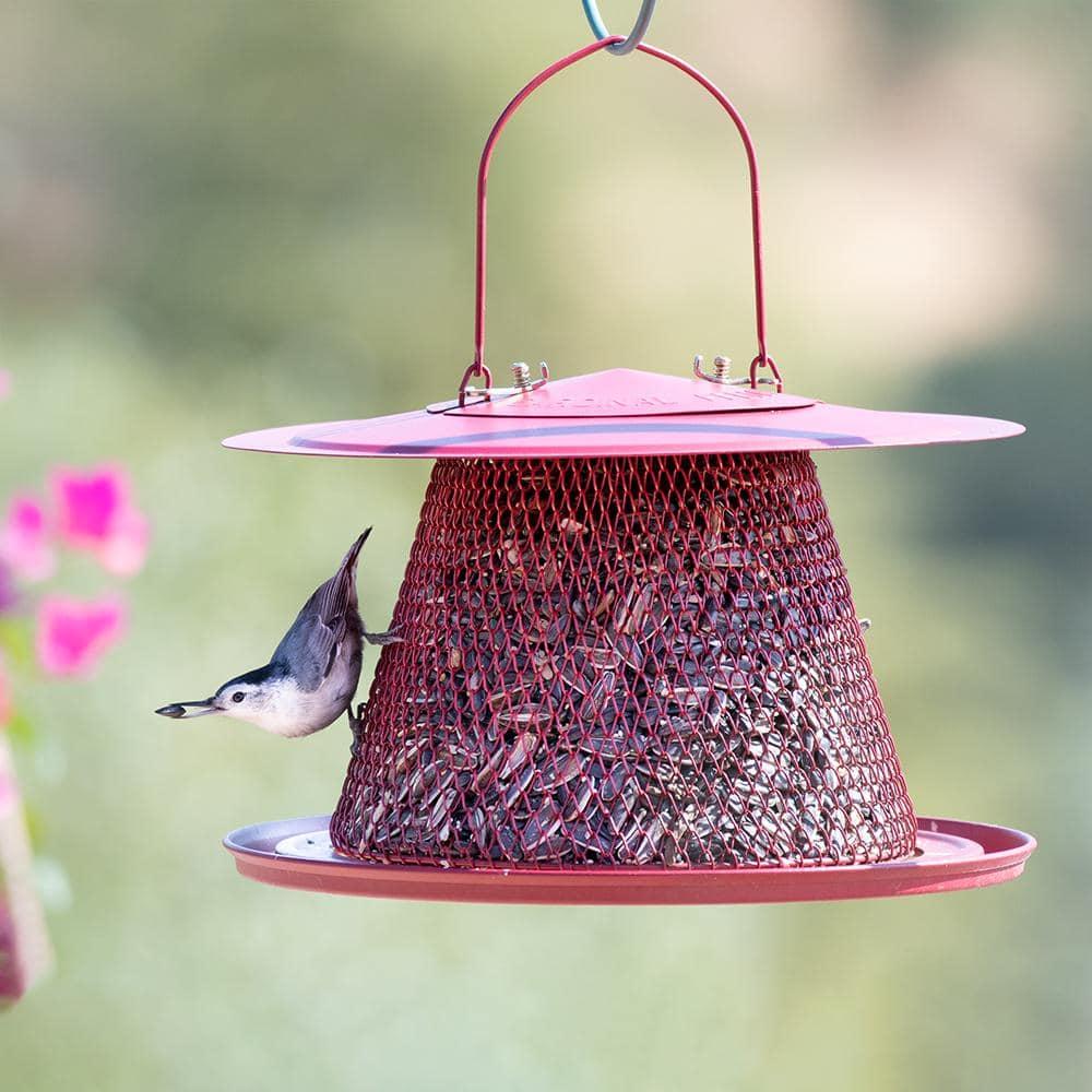 Perky-Pet Red Cardinal Wild Bird Feeder - 2.5 lb Capacity